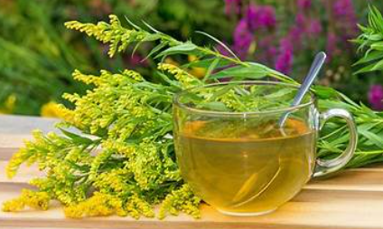 Farm & Garden Tea Social 