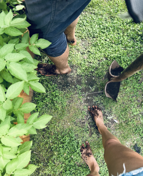 Rooted: A Mindful Practice with the Land