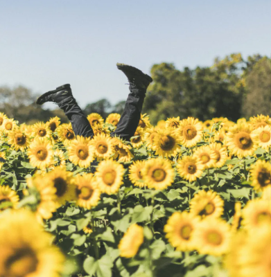 Root and Rise Yoga with Lauren Theis at Ethos Farm to Health