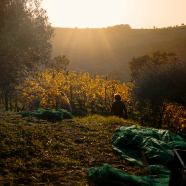 Farm Fresh Flow with Lauren Theis and Ethos Farm to Health