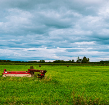 Fields of Calm with Lauren Theis at Ethos Farm to Health