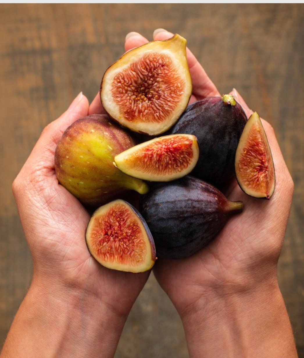 Dr' Weiss's Fig Class 