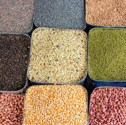 Grains Class with Ann Marie