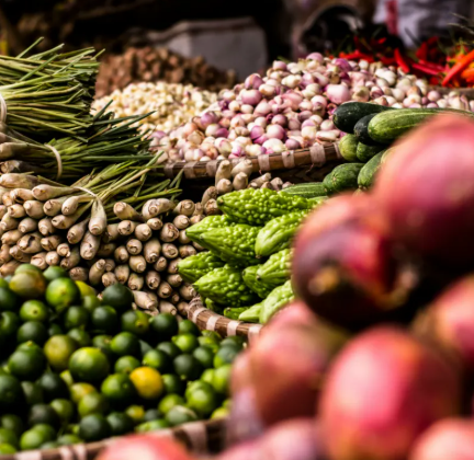 How Food Meets Sustainability!
