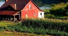 Homesteading Workshop with Mac