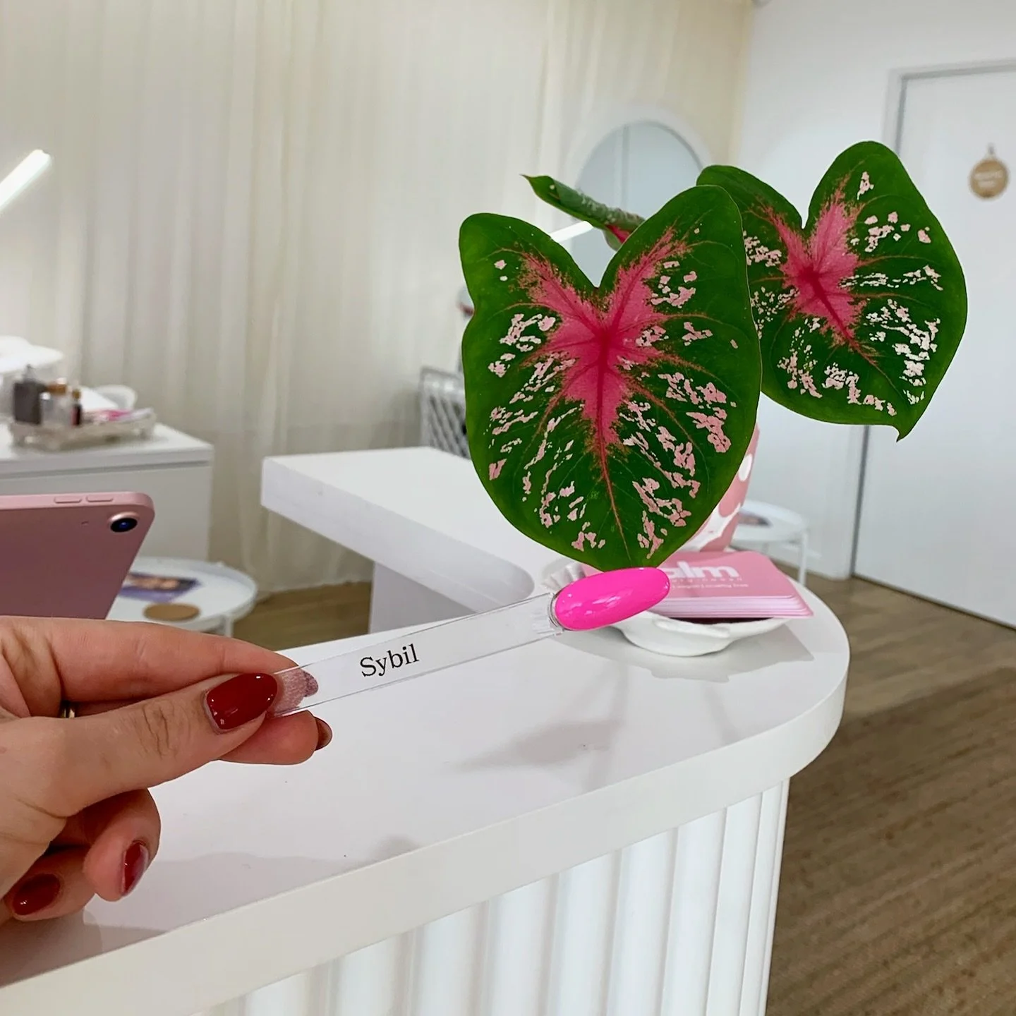 New girl Sybil available for your next gel nail appointment 😍💅🏼

#biosculpture #biosculpturenails #biosculpturegel #evogel #evosybil #nails #pinknails #noosanails #noosa #noosaville #noosariver #noosabusiness #noosalife #noosaliving #noosaholiday 