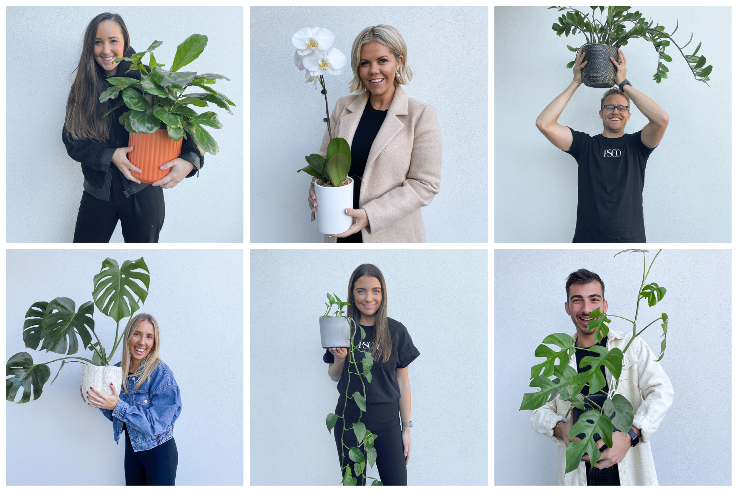 Our Team’s Favourite Indoor Plants.