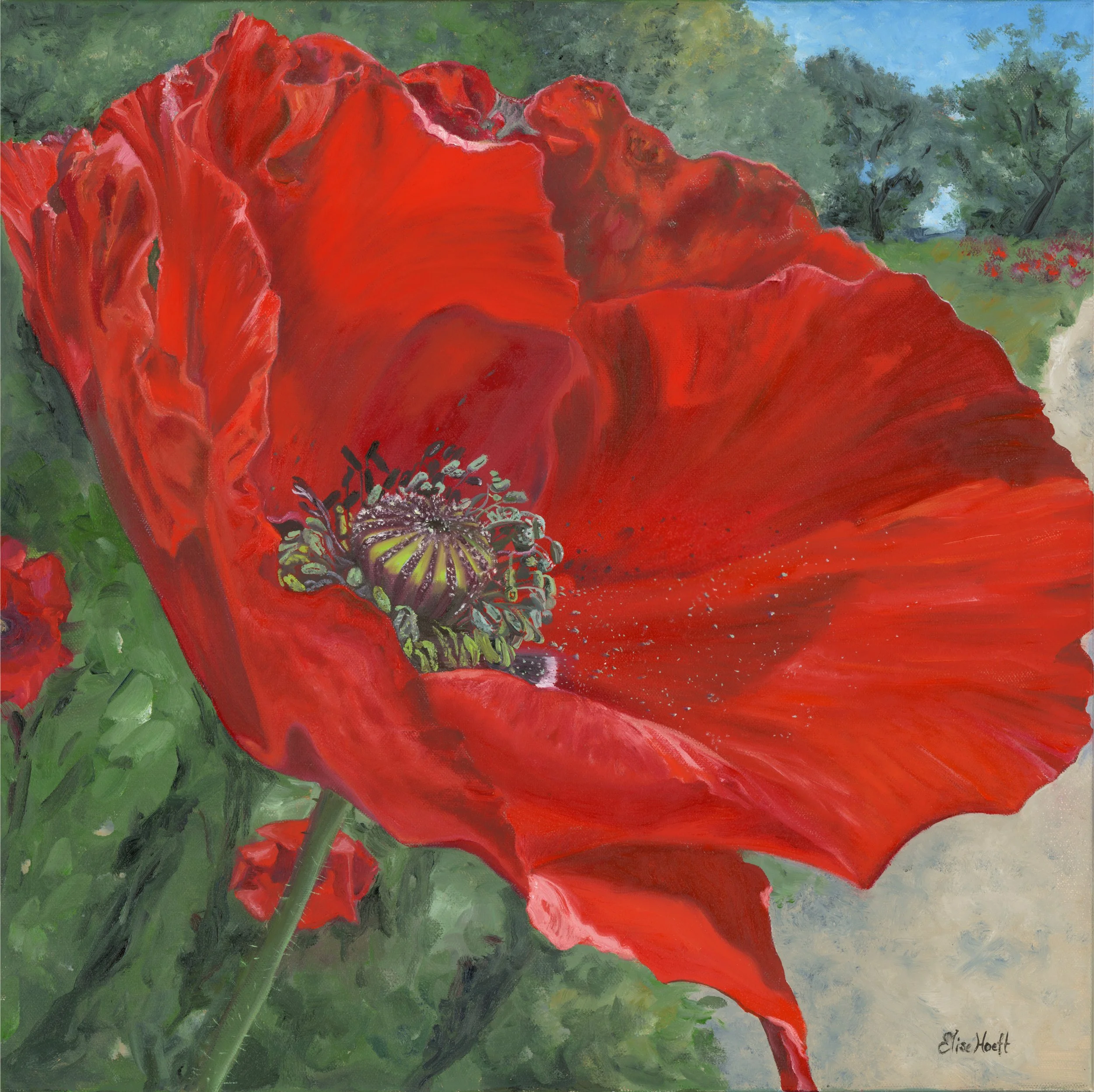 Summer Art Classes 