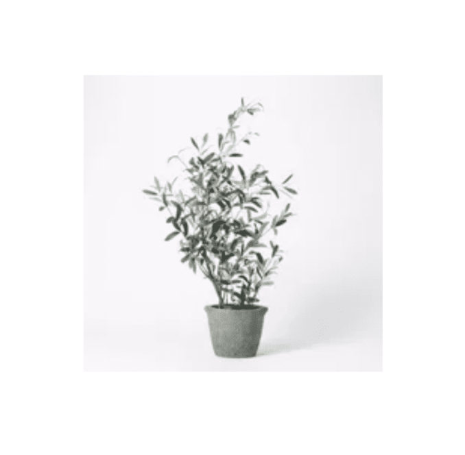 Screen Shot 2021-03-06 at 6.21.39 PM.png