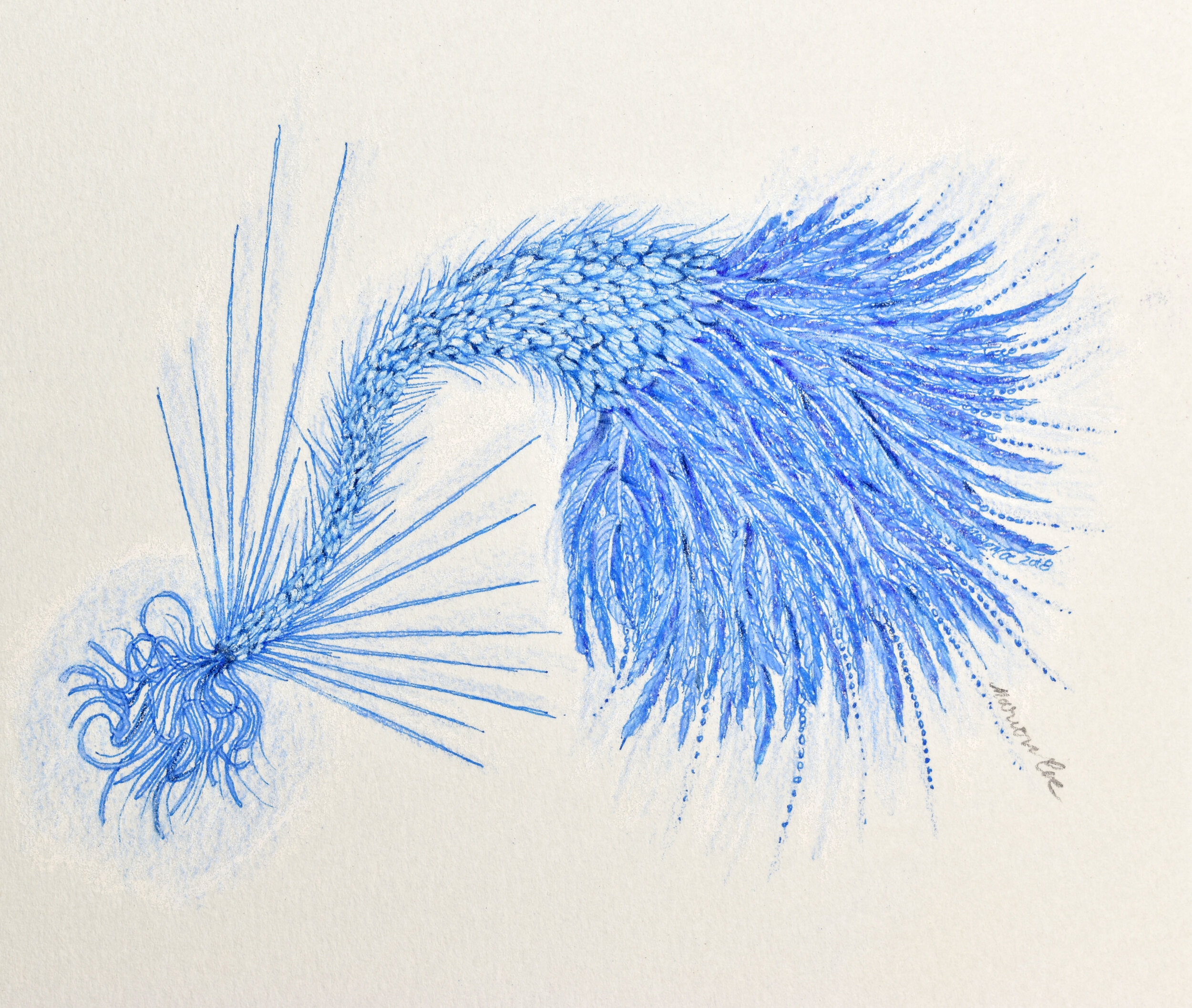 Sea Spore (2018). Pencil and colored pencil on paper. 4"x5"