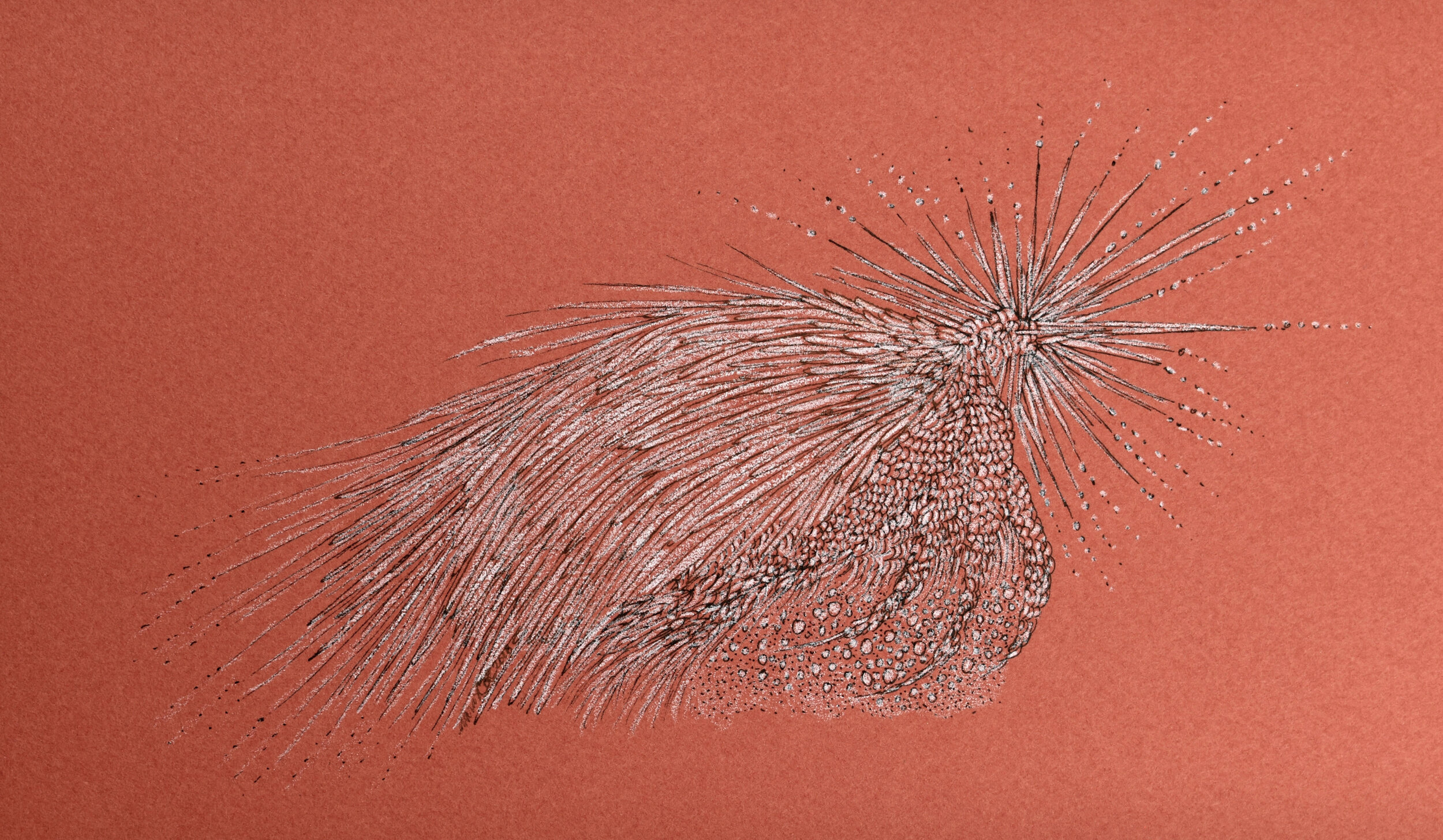 Crawling (2018). Pen and ink with colored pencil on paper. 3"x4