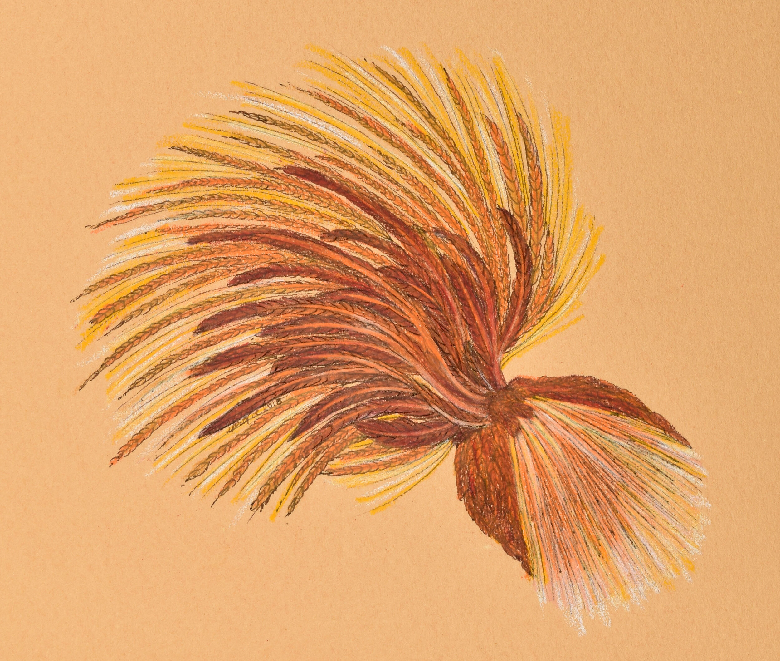 Seed pod (2018). Pen and ink with colored pencil on paper. 4"x5"