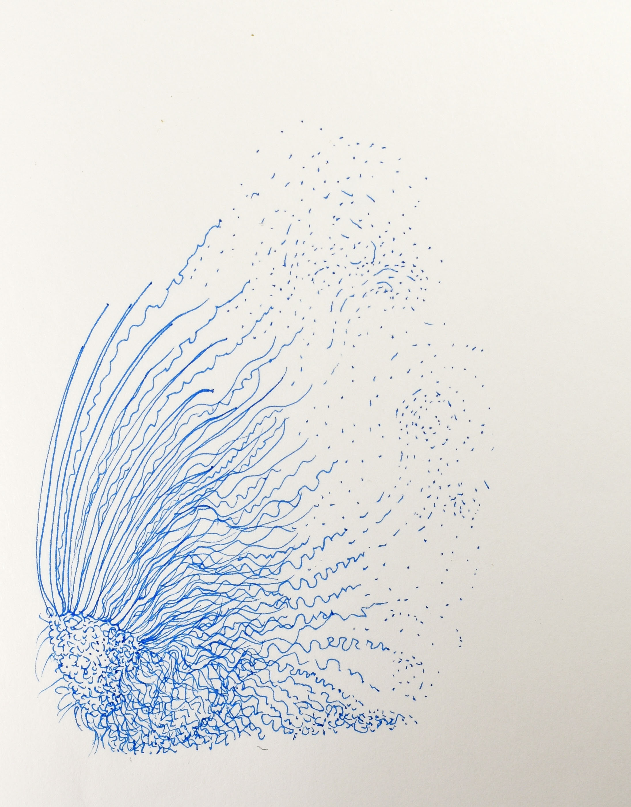 Germination (2018). Pen and ink on paper. 5"x4"