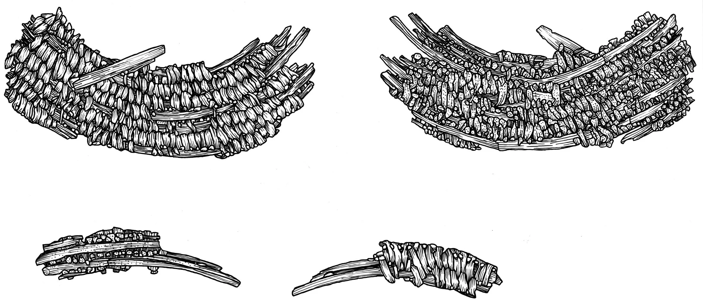 paleobasket0001+copy.jpg