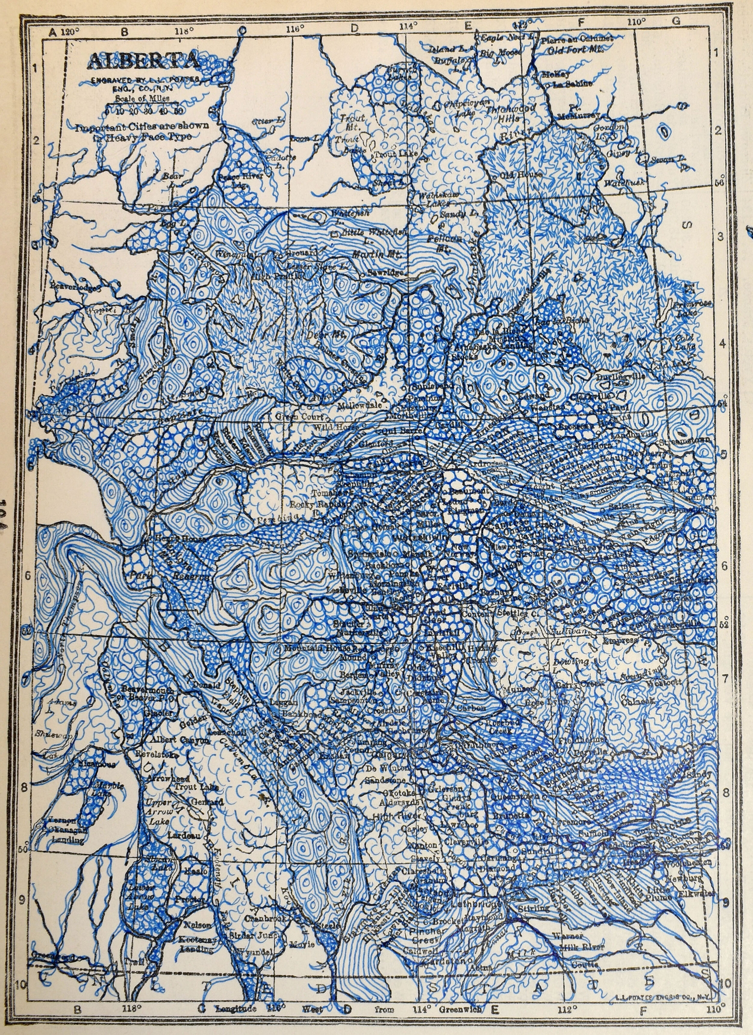 Alberta (2021). Blue micron pen on encyclopedia page. 6"x4"