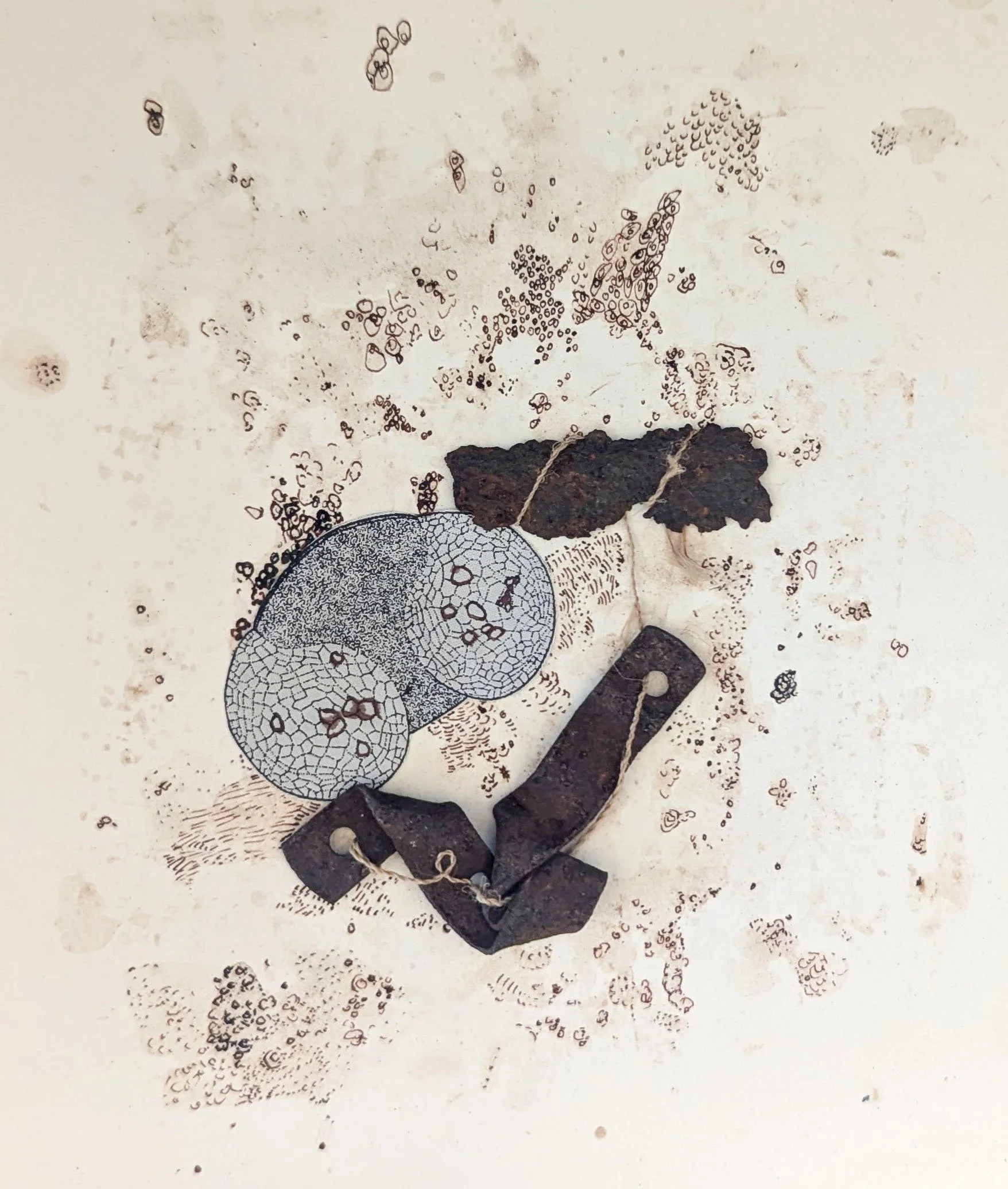 Untitled (2025).
Apocynum cordage, rust, found metal, walnut ink, and collage.
