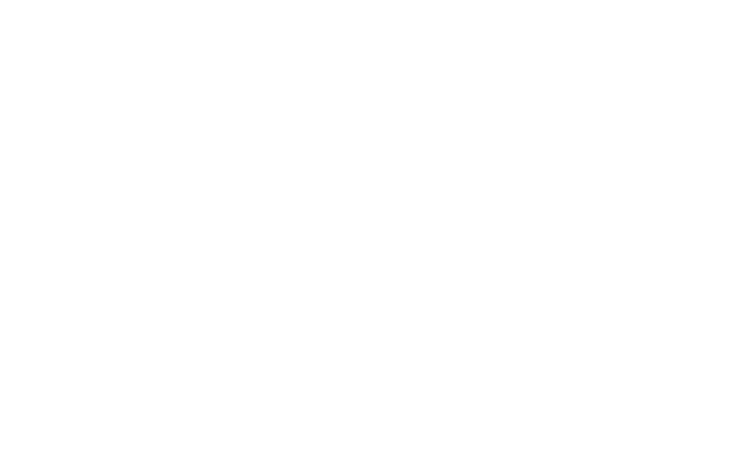 HOLDEN LAW