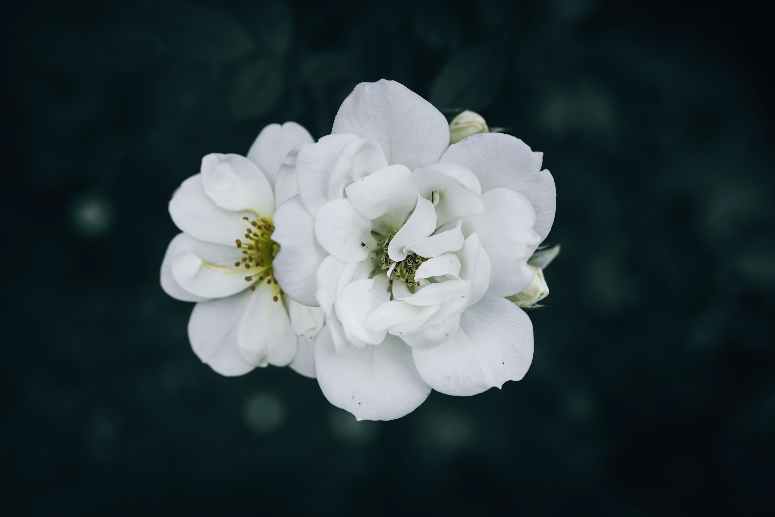 Why Consistent Postpartum Care Matters