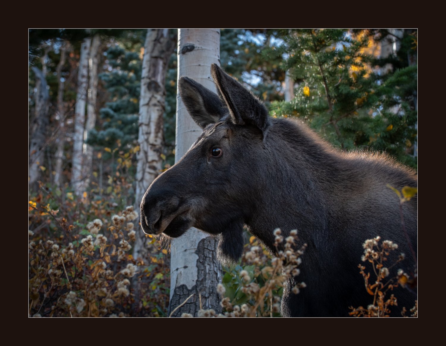 Web-Fr_DSC2328-2.jpg