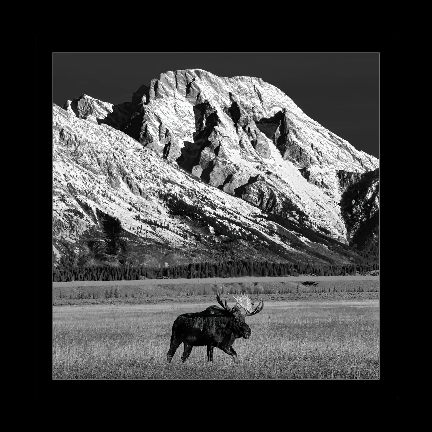 Fr-Moose-Mountain copy.jpg