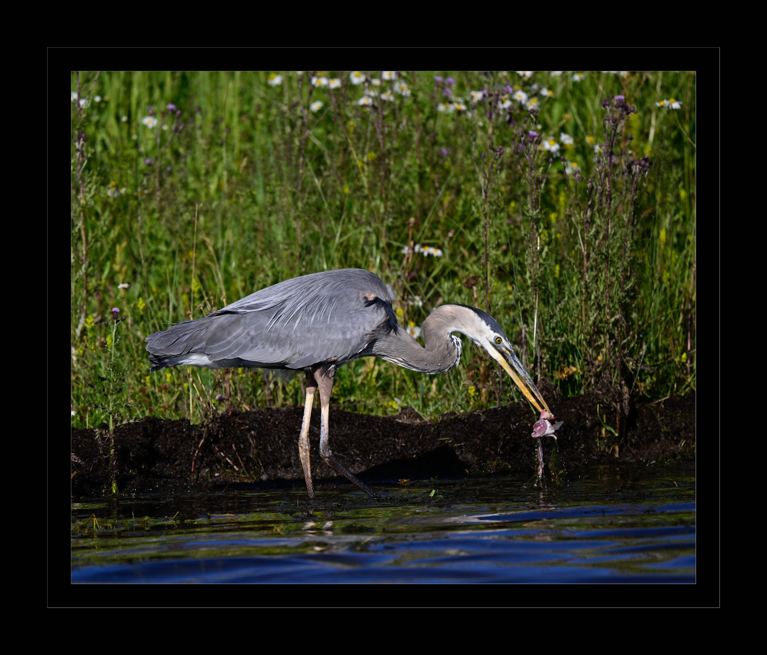 DSC_6391.jpg