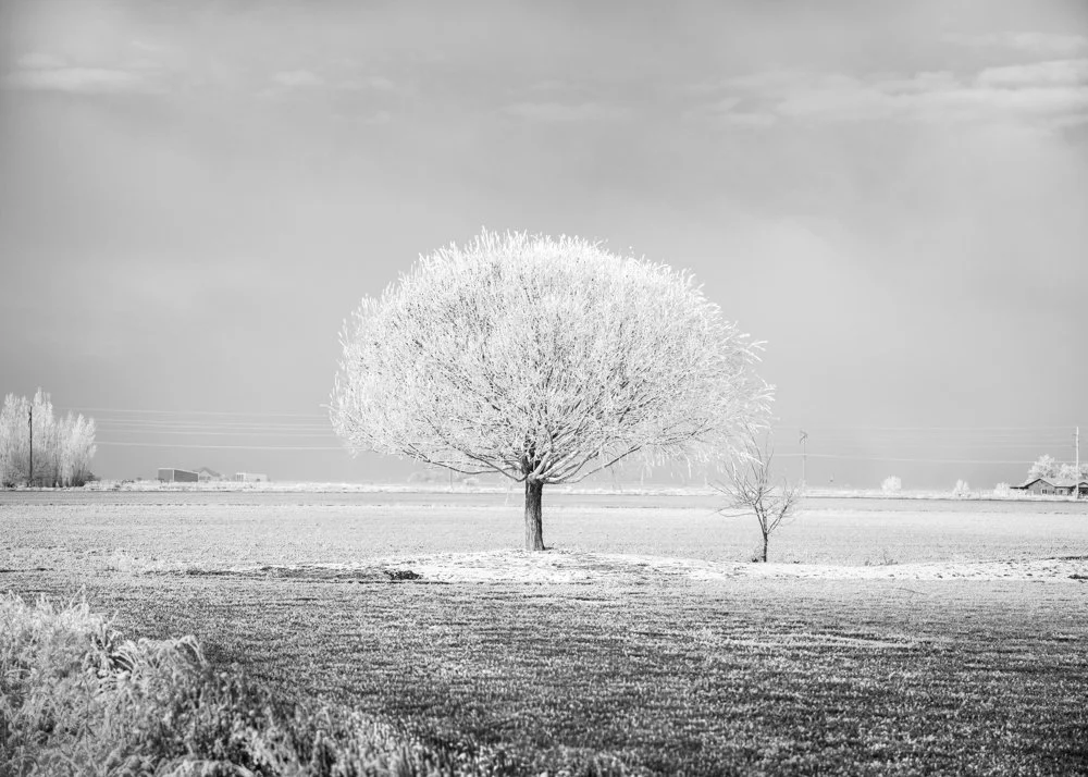 Web 20260130-_DSC2968.jpg