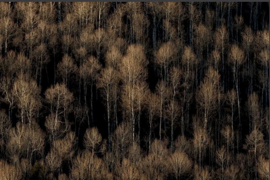 Screenshot 2026-02-23 at 5.30.19 PM.png