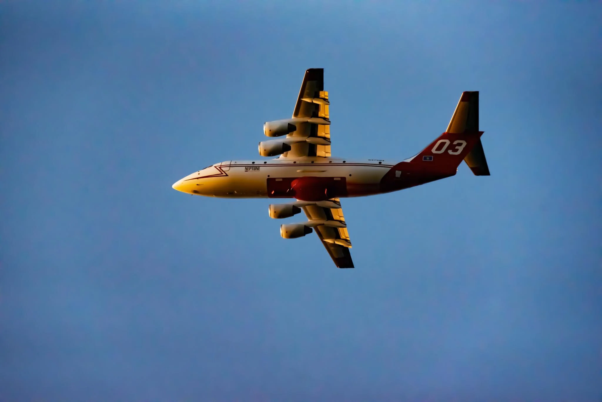 DSC_8349.jpg