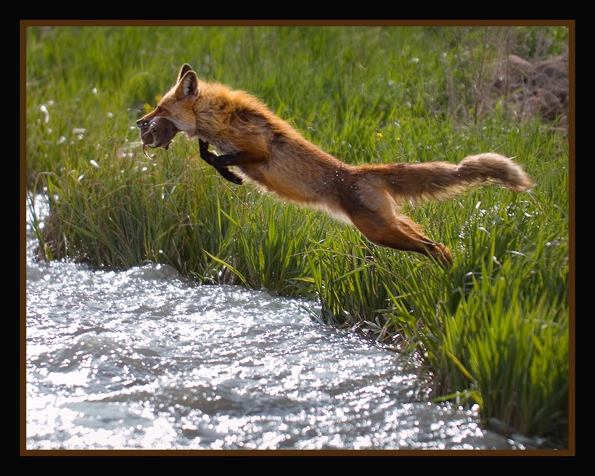 Leap 1.jpg