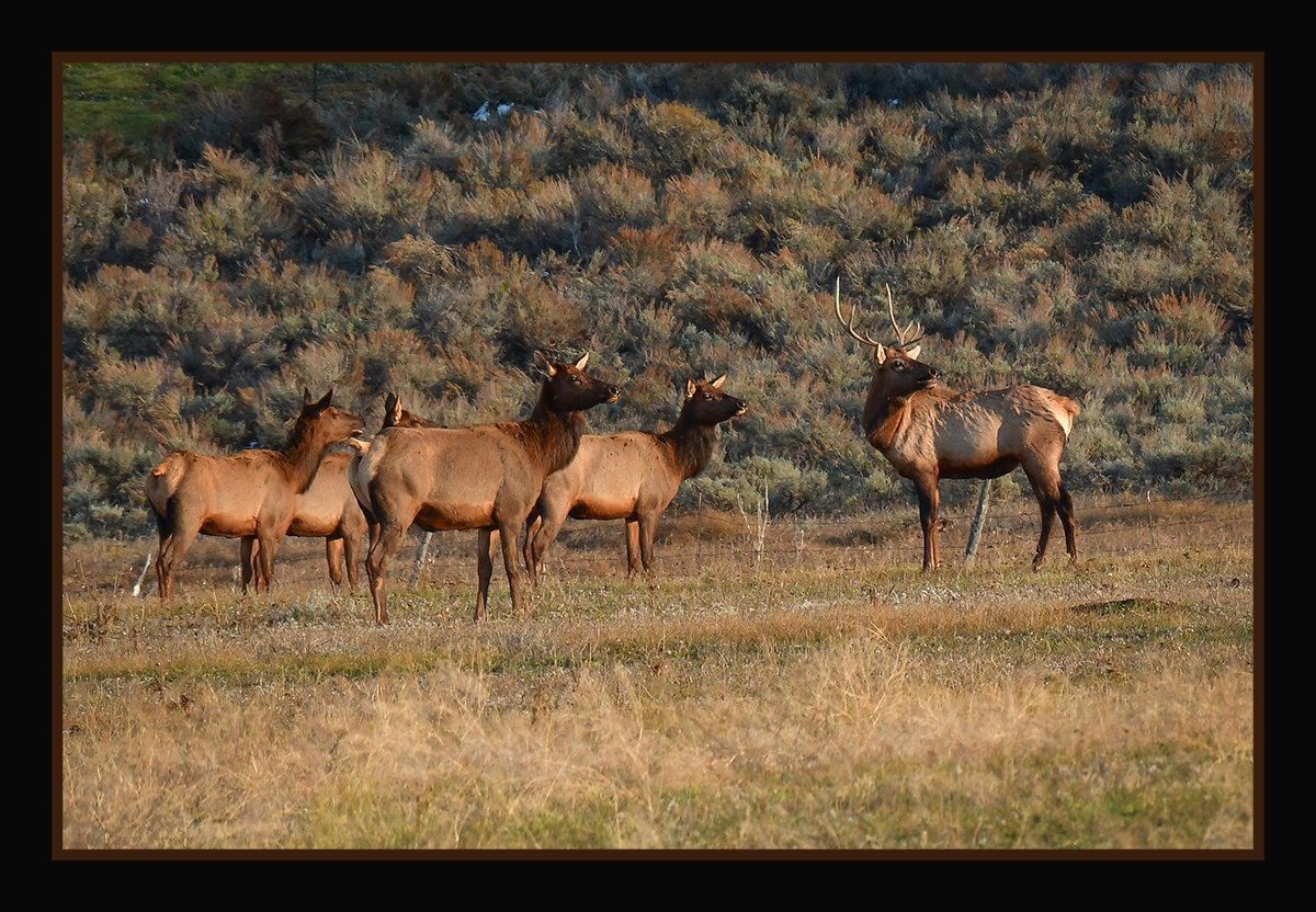 DSC_0606.jpg