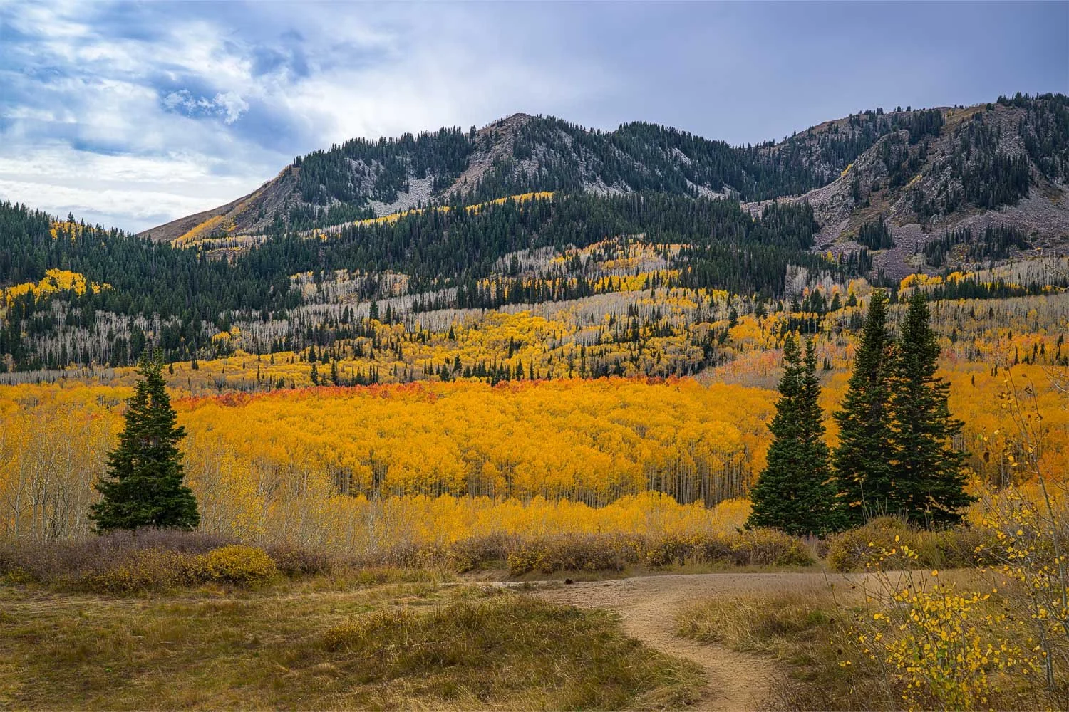 Photo Wednesday — Guardsman Pass / 
_DSC1641 /
Trail to Gold /
Guardsman Pass takes its name from the Utah National Guard, whose members built the mountain road between 1955 and 1957, following a route long associated with the mining country between 
