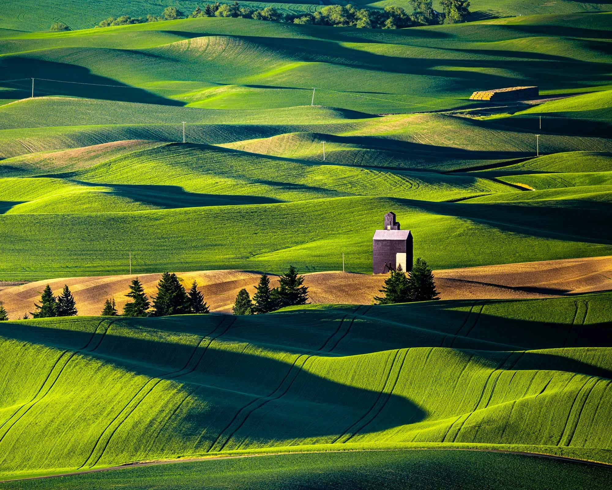 Palouse Sunrise / 
(DSC9213) / 
Near Colfax Wa— Palouse Region / 
Morning light sweeps across the rolling fields of the Palouse, transforming generations of farmland into an ever-changing tapestry of light, shadow, and color.
Limited Edition • Signed