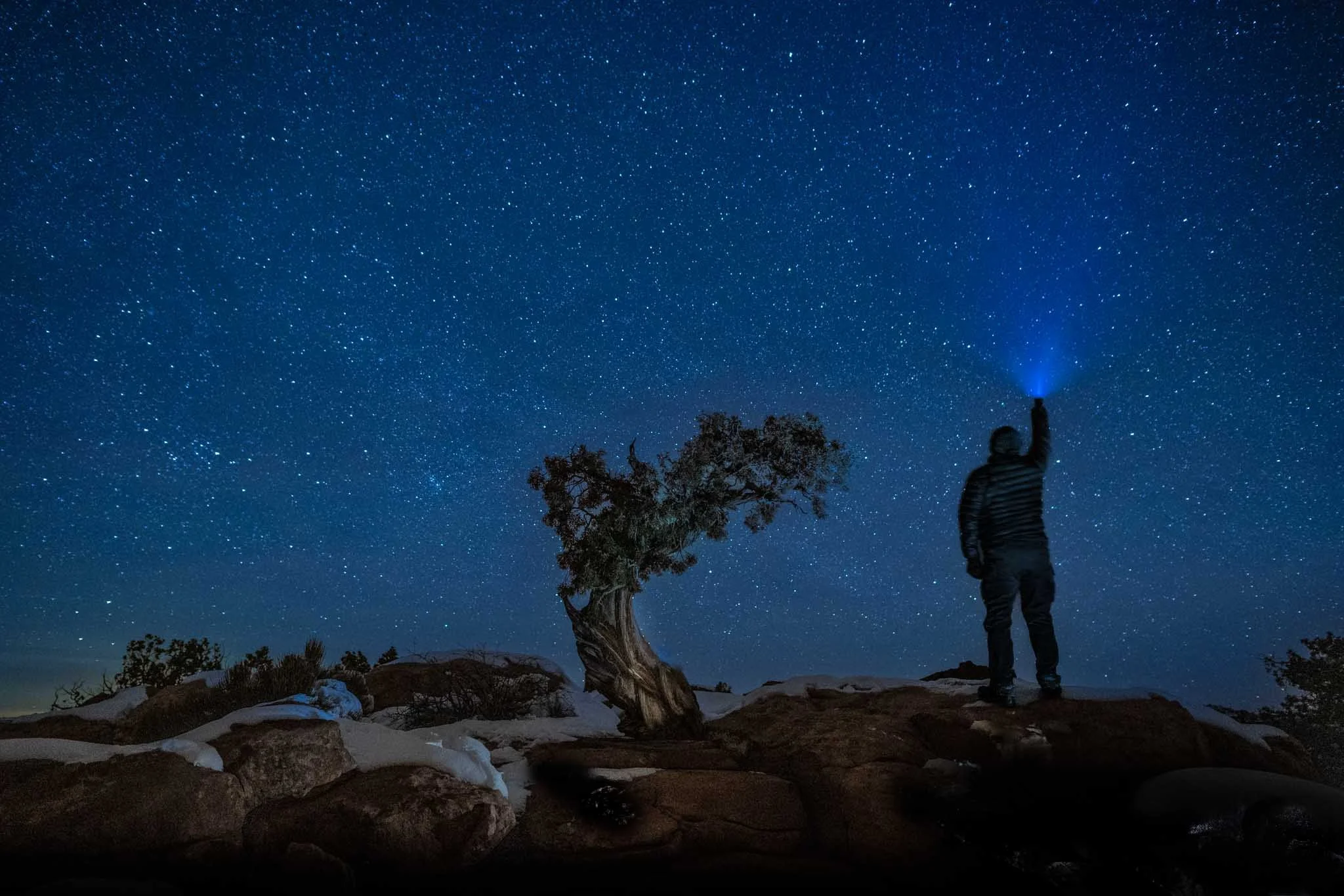 Lonely Pinyon Pine — Search for Meaning • Dead Horse Point State Park — Utah • Image #_NZ91243.NEF • On a cold winter night, I joined my favorite lonely pinyon pine for a selfie. Standing together on the edge of eternity, I pondered life’s timeless q