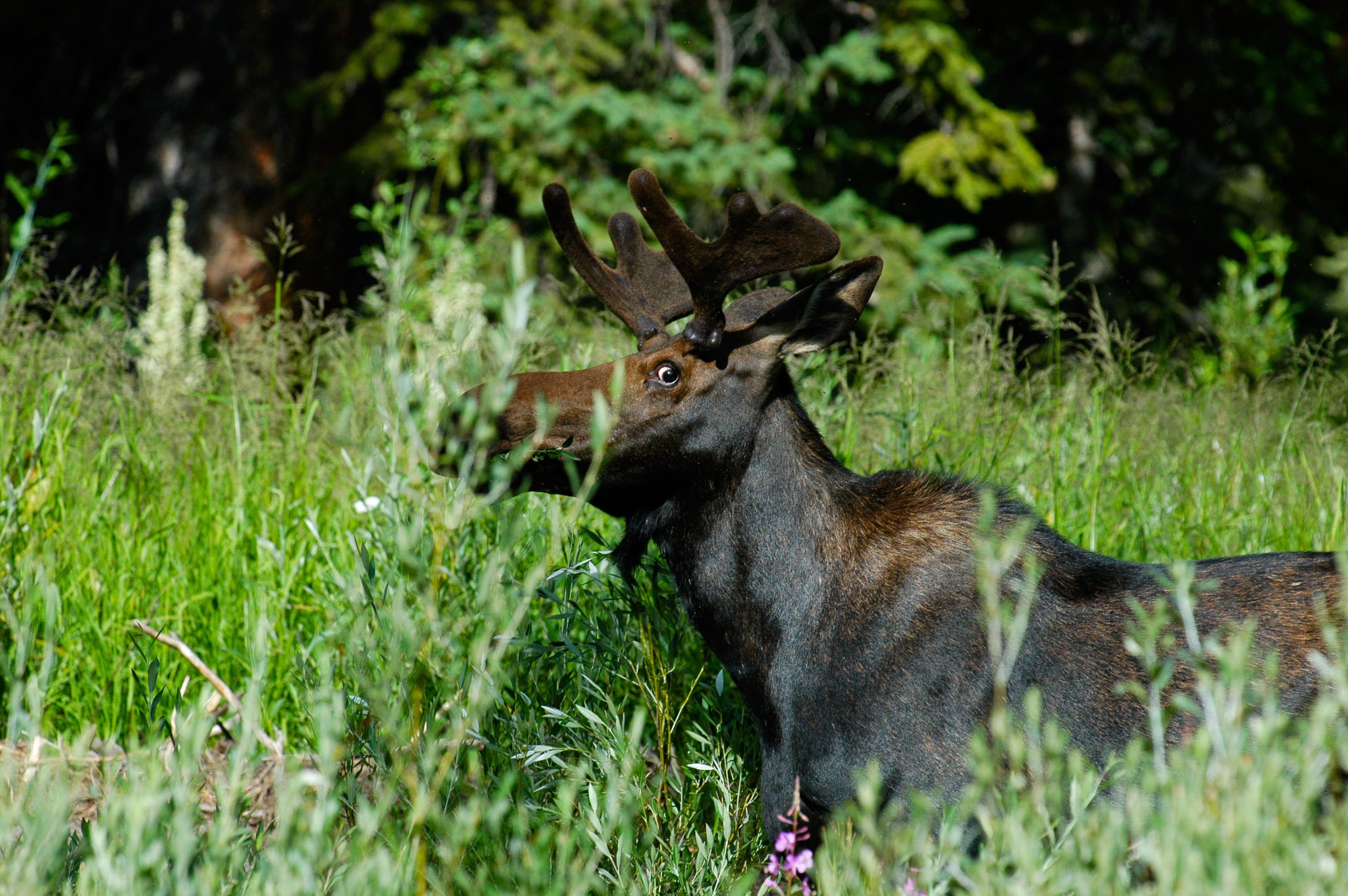 DSC_0044_2.jpg