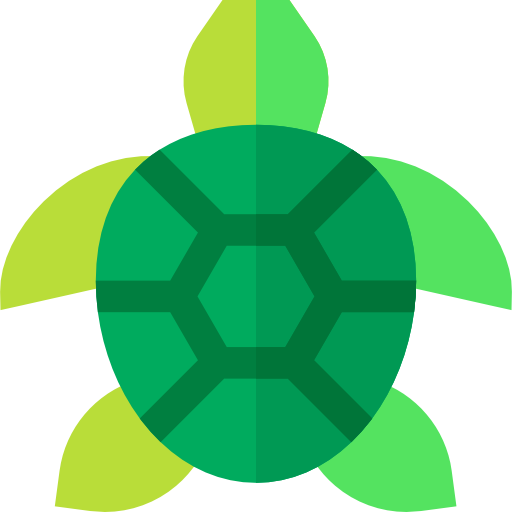 turtle.png