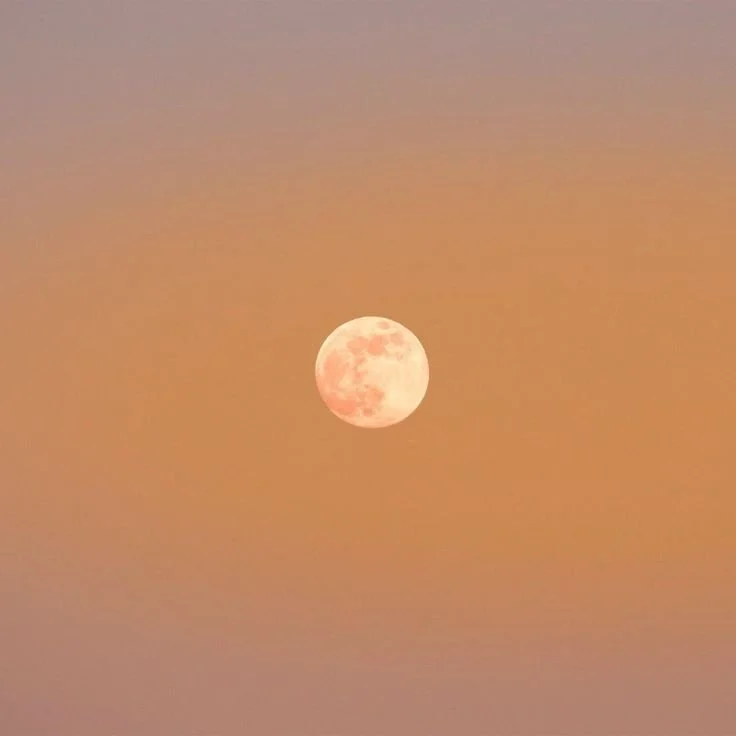 Blog Post Title Four (Copy) (Copy)