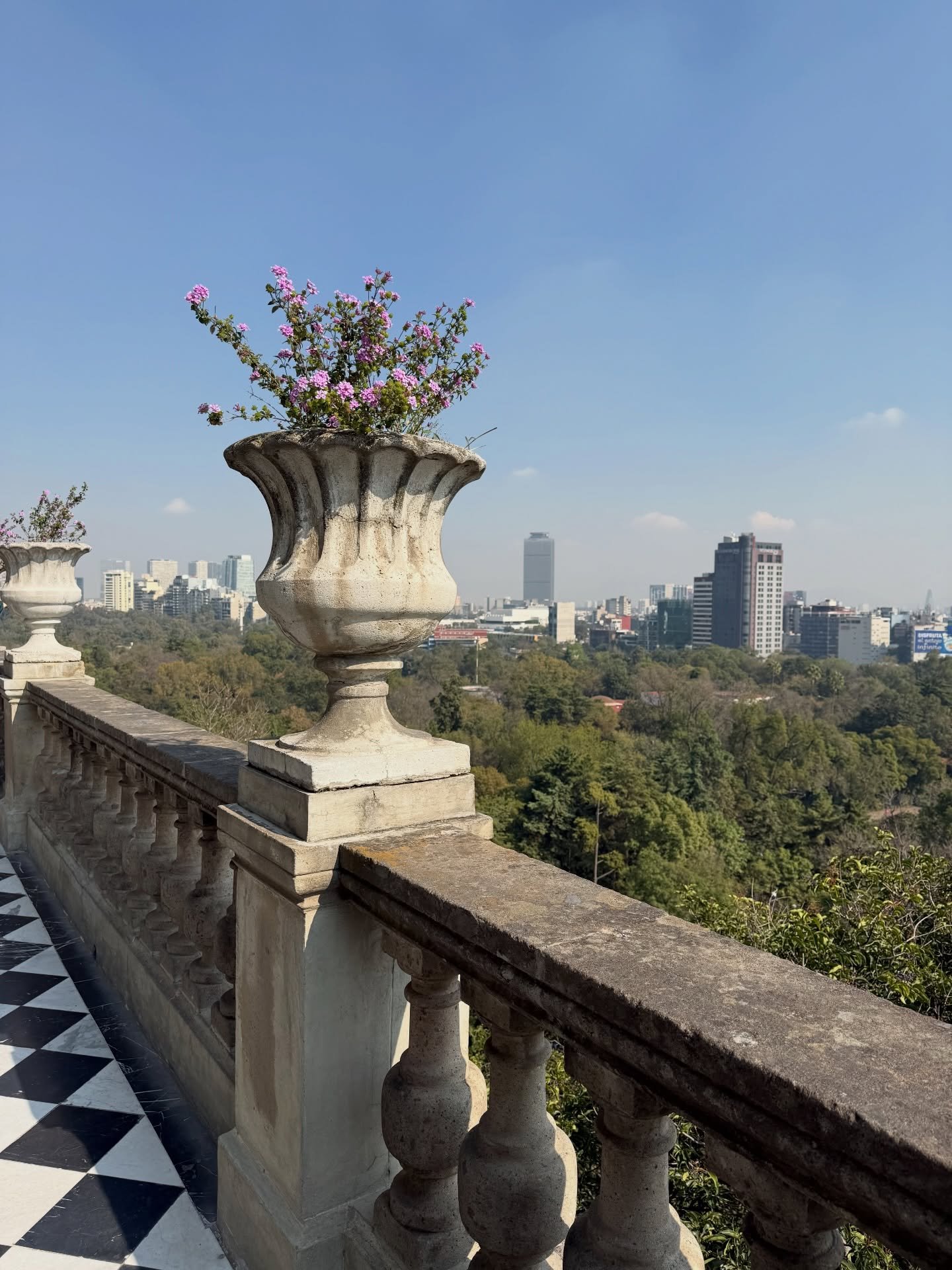 unsure if I was dreaming the best dream or just in ciudad de mexico