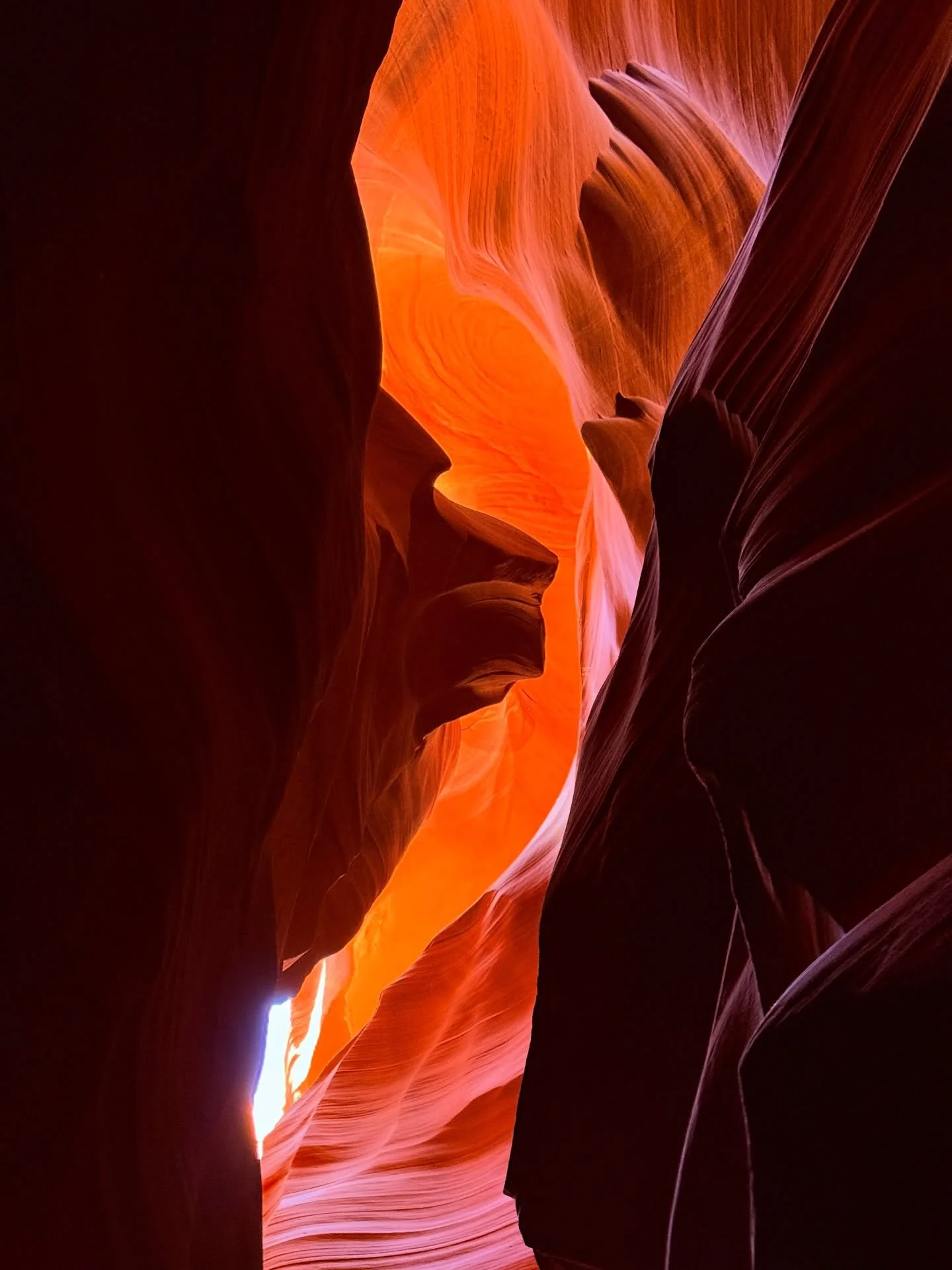 quite literally the most stunning thing I&rsquo;ve ever seen in my life