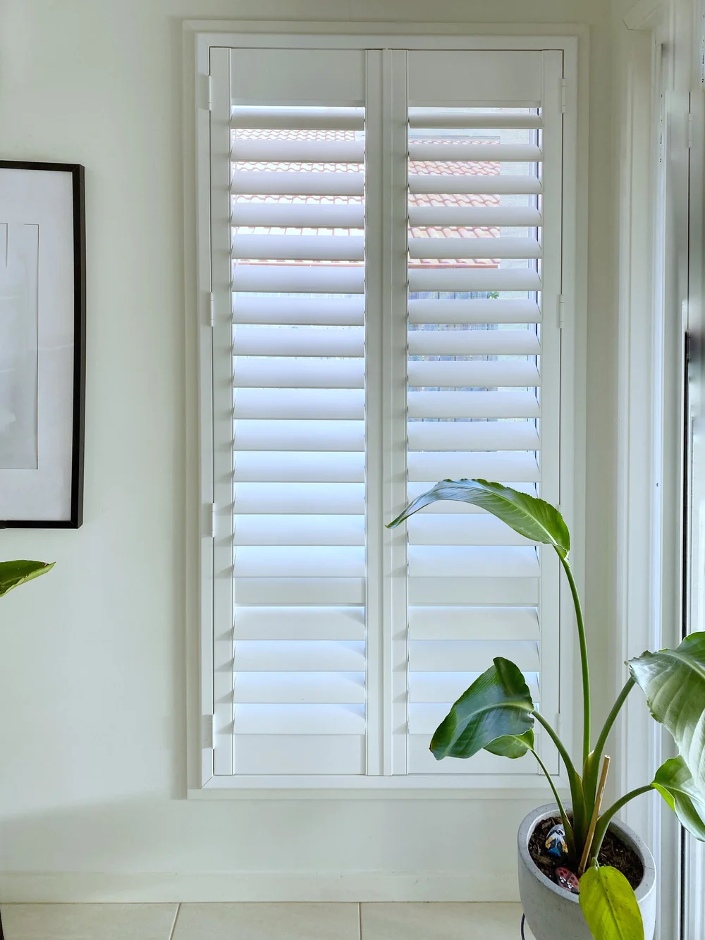 Gallery | Explore Custom Shutter Designs Today — Perth's Boutique ...
