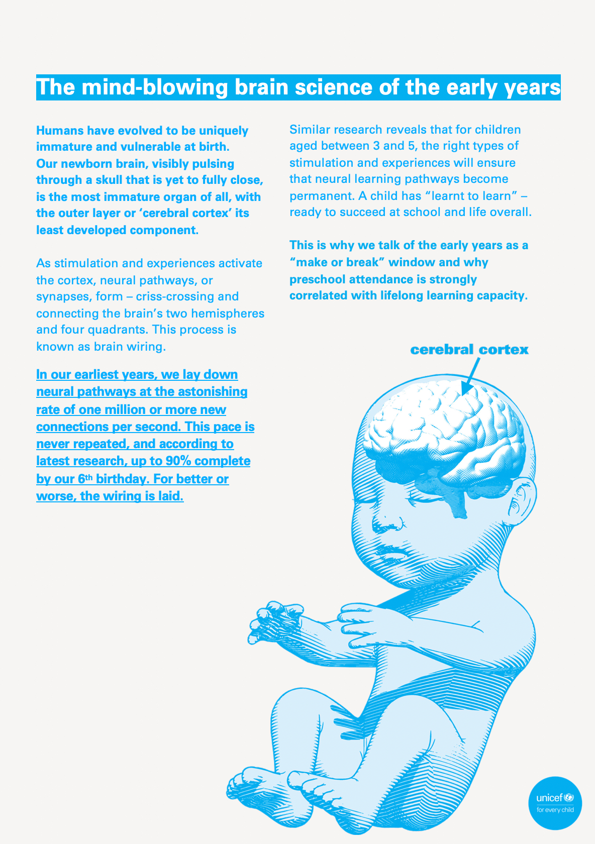 UNICEF Pakistan Baby Brain page.png