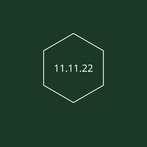11.11.22.png