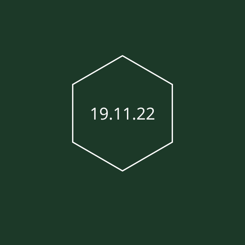 19.11.22.png