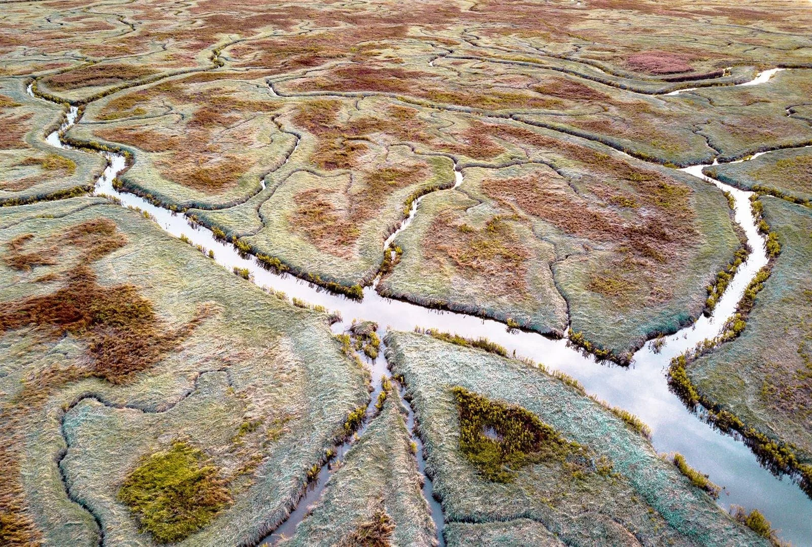 Het unieke natuurgebied Saeftinghe waar elke dag om de 6u de getijden passeren is zeker een bezoek waard via
Verdronken Land van Saeftinghe | Stichting Het Zeeuwse Landschap