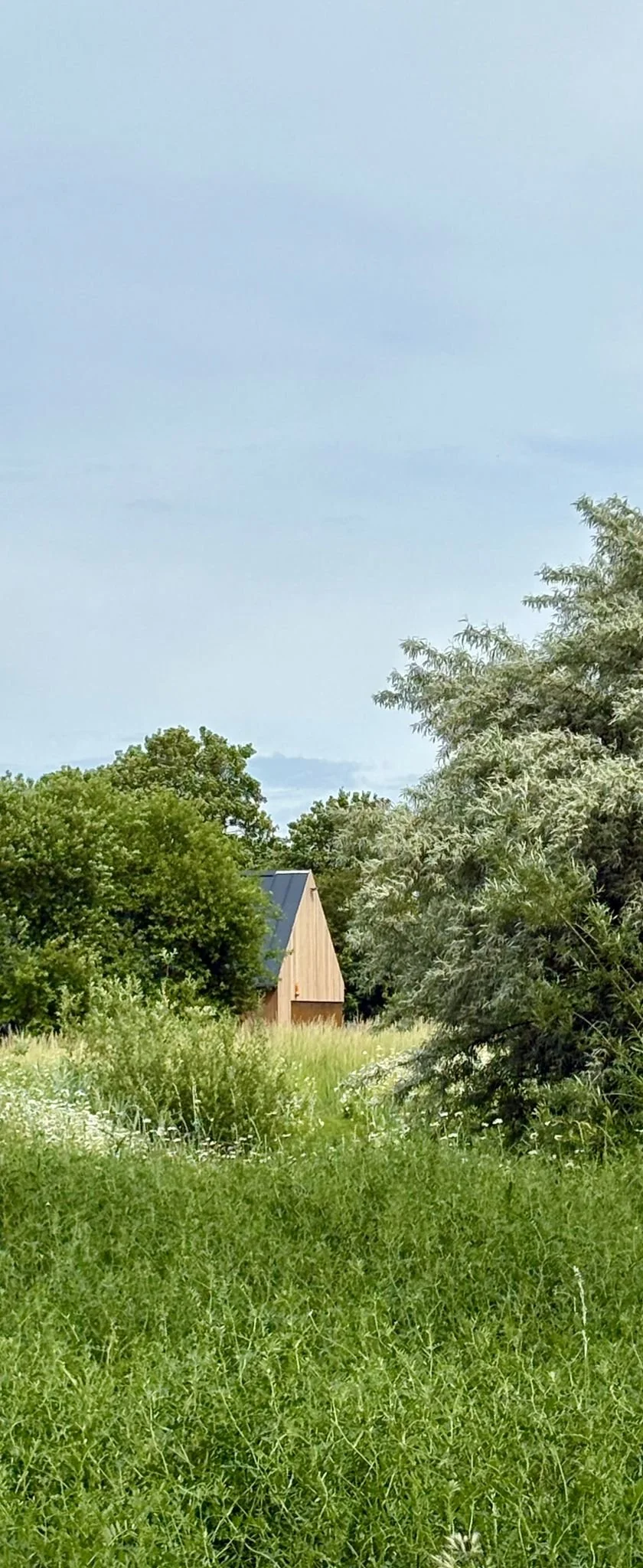 De Studio, het moderne vakantiehuis in Zeeuws Vlaandreen in een groene veld, omgeven door bomen en struiken