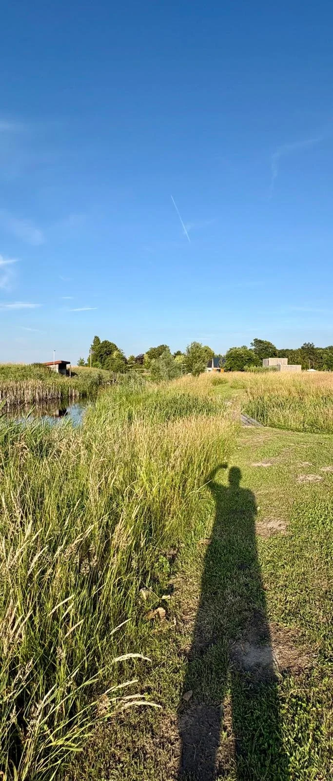 Een weids landschap met hoge grassen naast een kleine waterkant van De Dijck vakantiehuis huren Zeeland