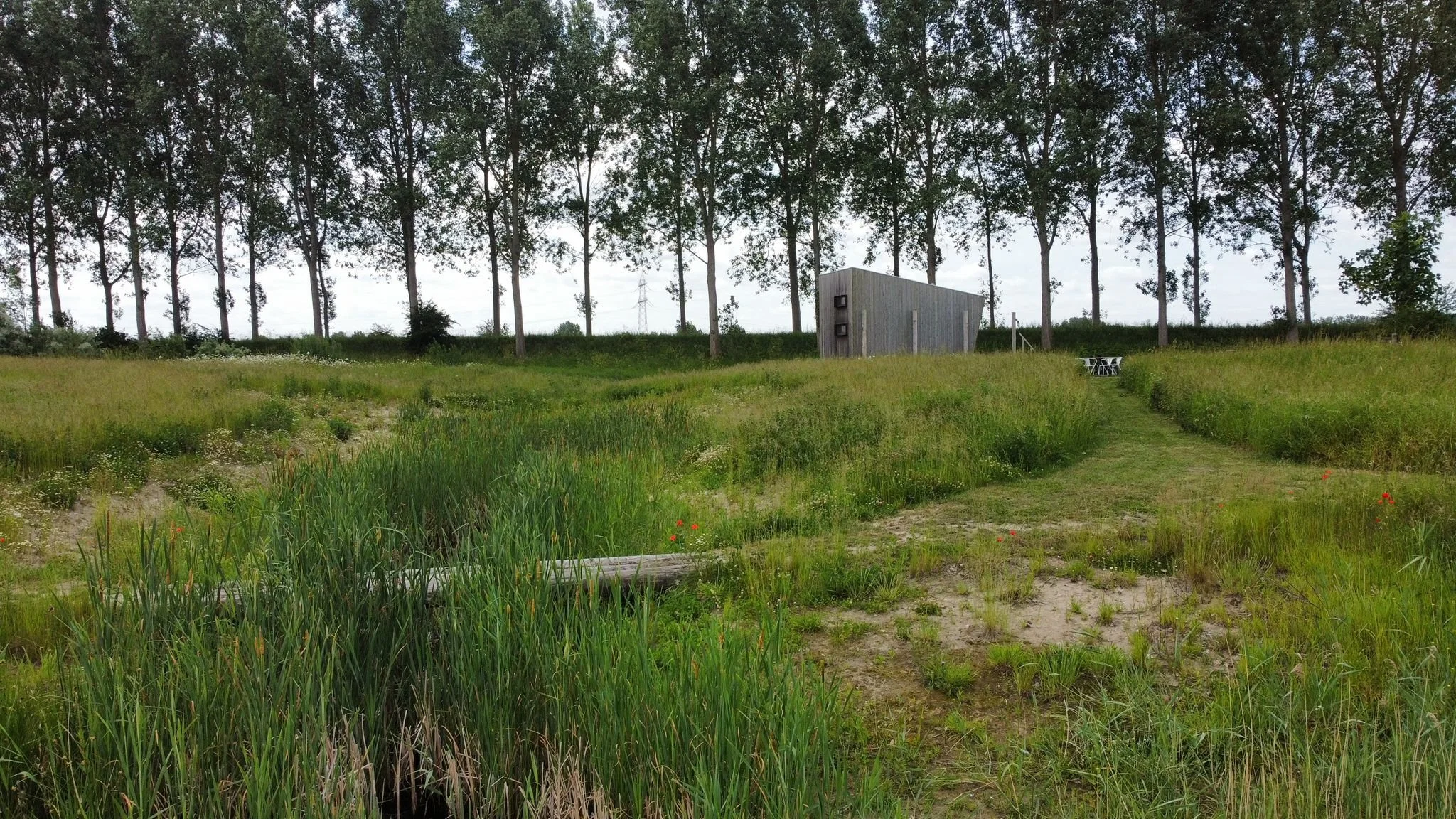 Landgoed De Dijck met het tiny house Zeeland te huur omgeven door bomen en de dijk