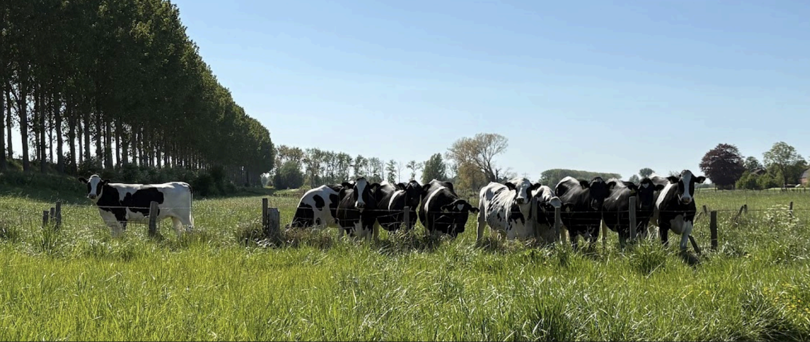 Scherm­afbeelding 2026-06-19 om 15.52.44.png