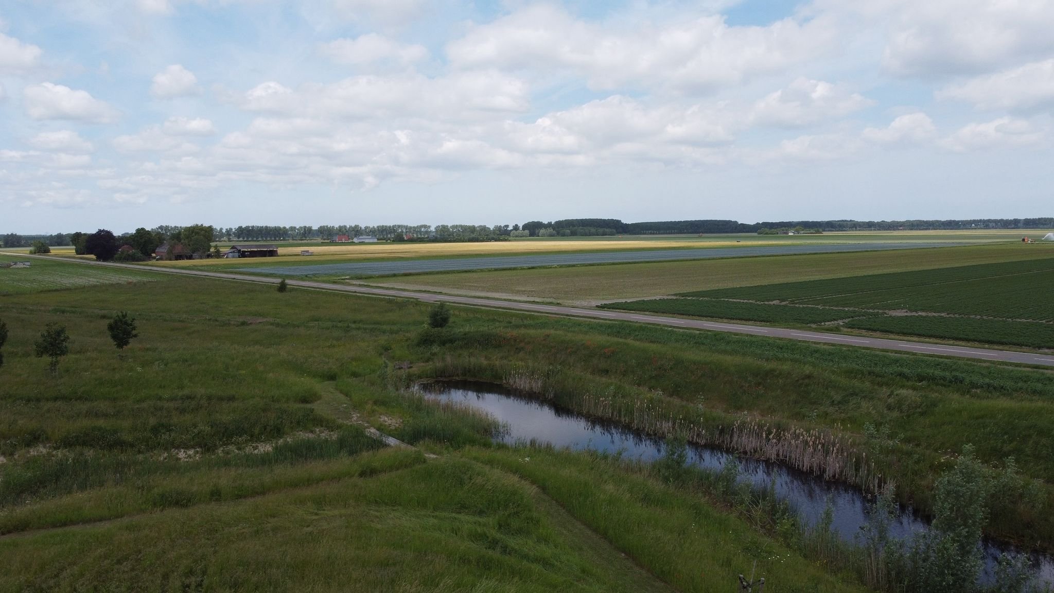 Uitgestrekte landelijke gebied bij het vakantieverblijf verhuur De Dijck met weilanden, gewassen, boerderijen en wegen