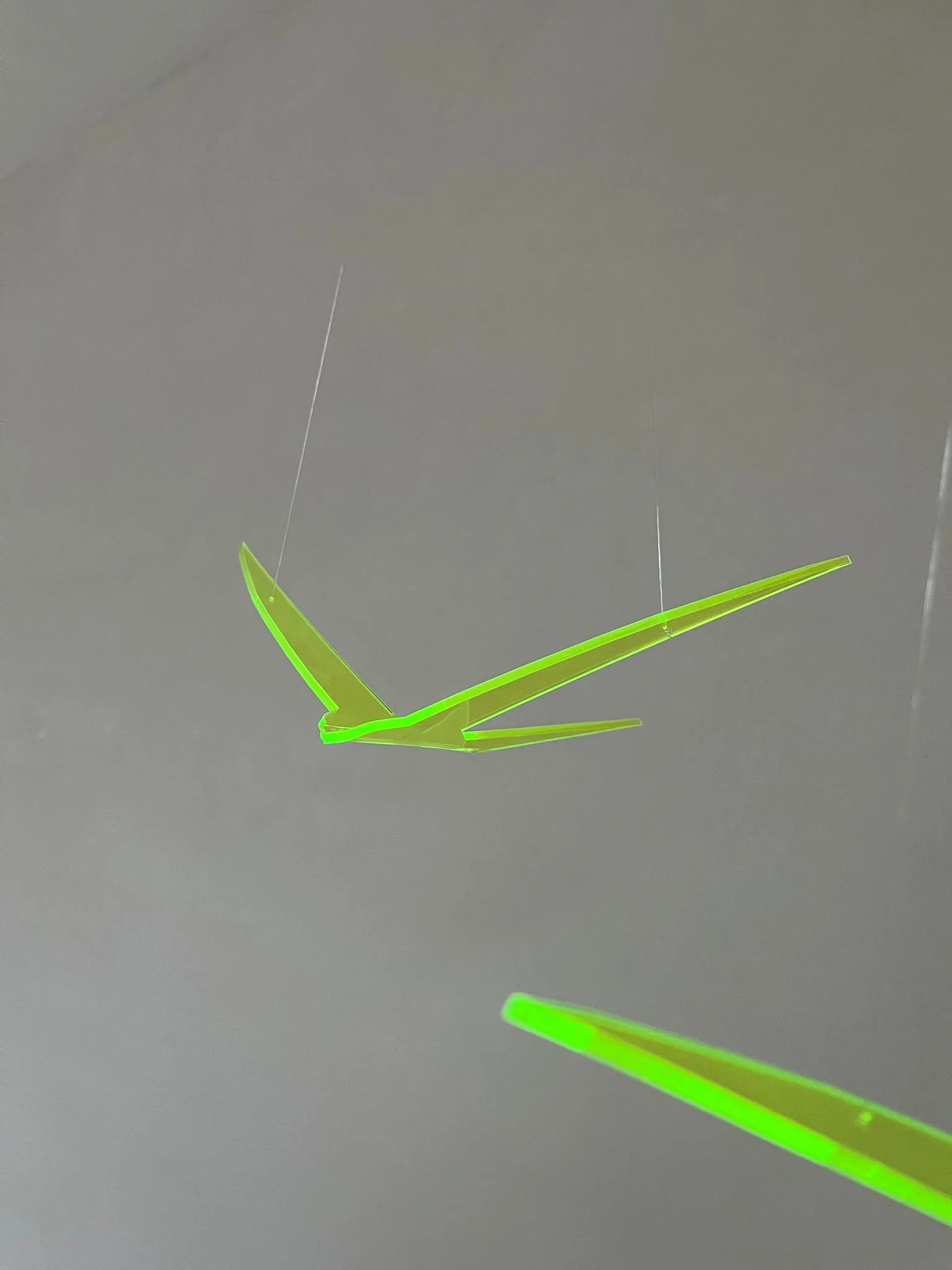 WhatsApp Image 2026-02-09 at 14.13.59.jpeg