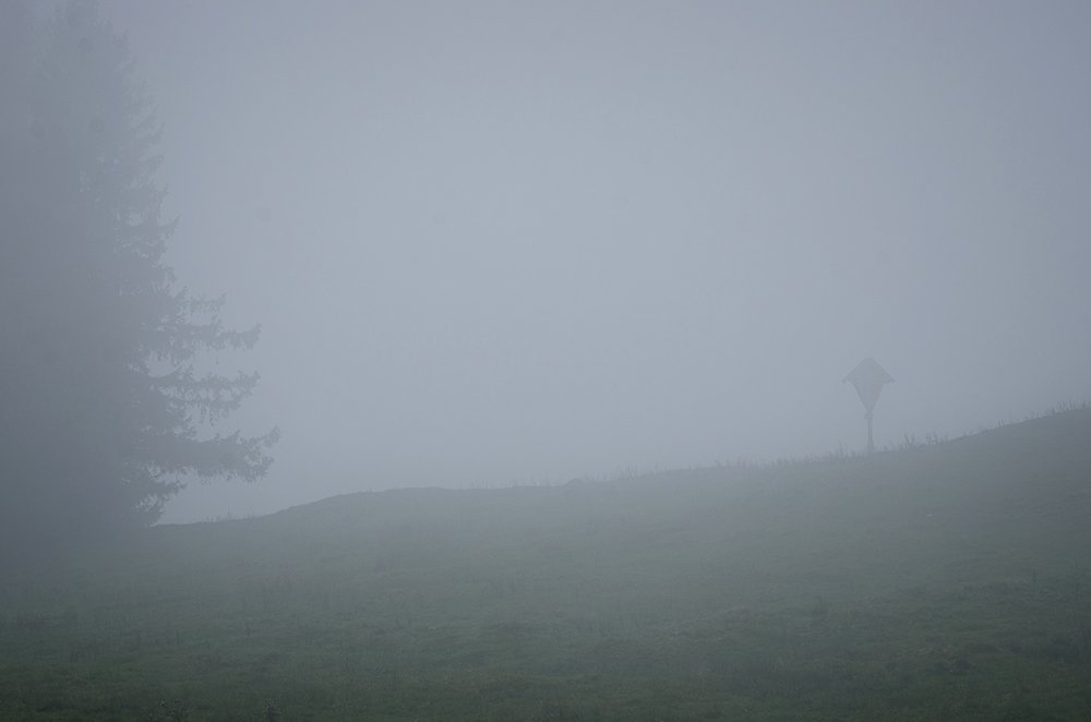 DSC_9199.jpg